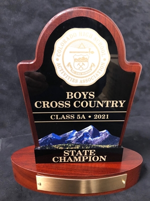 Champion CHSAA Mini Colorado High School State Trophy  