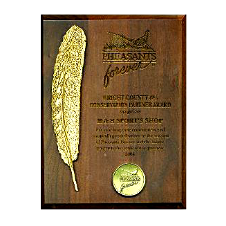Wooden Feather Plaque 