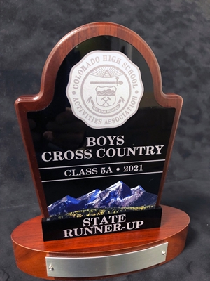 Runner Up CHSAA Mini Colorado High School State Trophy  