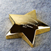 Star Performer Paperweight - AAA - Star Performer Paperweight