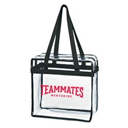 Clear Zippered Tote 